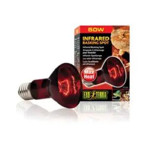 파충류등 파충류 적외선 램프 50W (PT2141) 스몰펫