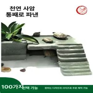 반수생 거북이 터틀 쉼터 하우스 쉼터 수생 육지