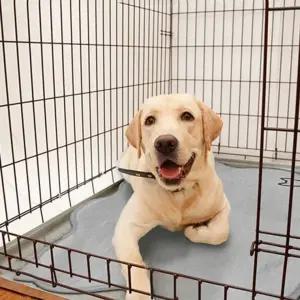 안전한 반려동물 쿨매트 고양이 여름 미끄럼방지 애견매트