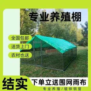 야외 견사 대형견 애견 케이지 진돗개집 강아지 마당