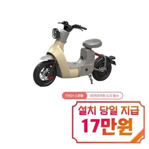 [레이윙]전동스쿠터 TYPE 2 24A (옐로우) / TYPE 2_YE