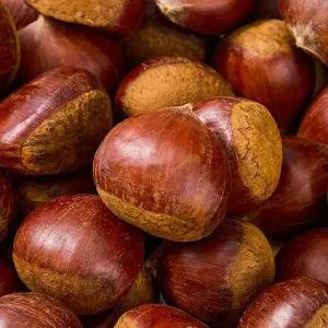 [지투지샵]공주 밤 1kg