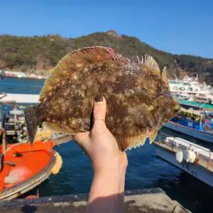 봄도다리 3~4미 800g+쑥 40g