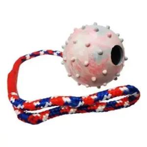 아트박스 와인앤쿡 강아지 터그놀이 장난감 치발기