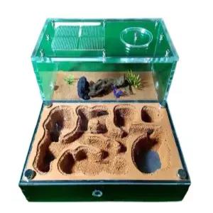 개미 관찰 아크릴 개미집 소형 사육장 키우기 케이지