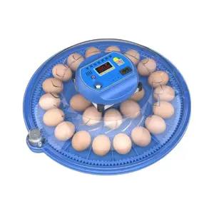 병아리부화기 병아리 계란부화기 자동 자동부화기