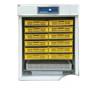 타조알부화기 병아리 완전 계란 대형 전문 타조 타조알