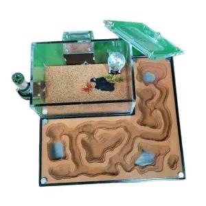 개미키우기 둥지 기르기 사육통 통 확장 여왕개미 앤트하우스