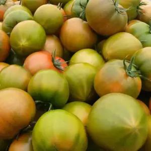 [대저농협인증]부산 대저짭짤이토마토 2.5kg(L) 사이즈 외