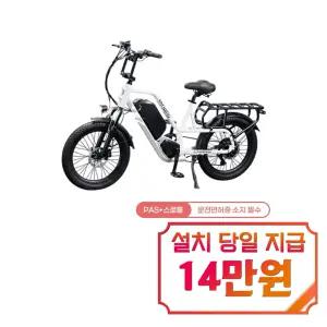 [레이윙] 캐리 전기자전거 CARRY_20A (펄화이트) / CARRY_20A_WH