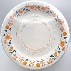 코스트코 무형광 종이 접시 (대) 지름 26cm 120개입