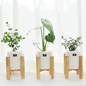 원플러스원 세라믹 원형 화분 세트 실내 공기정화 식물