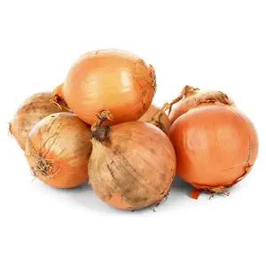 양파 10kg 장아찌용