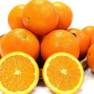 고당도 블랙라벨 오렌지 3kg내외(18과내외)중소과