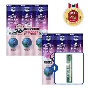 죽염 히말라야핑크솔트 바이옴 치약 100g x 6개 + 칫솔 1입 추가 증정