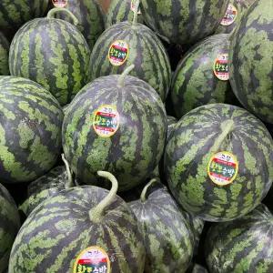 황금열매 전라도 고당도 맛있는 수박 3kg~4kg