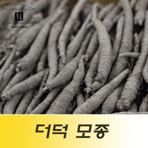 더덕뿌리모종 더덕묘종 더덕모종 더덕종자 더덕종근