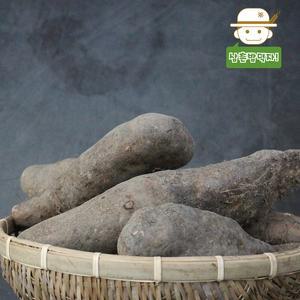 [삼촌밥먹자]마의 고장 안동의 믿을 수 있는 산약촌 산마(상) 5kg