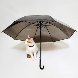 자동 투명 비닐 우산 블랙/장우산 비닐우산 경량 무지 자동