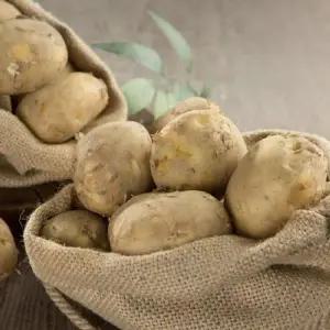 [NS홈쇼핑](10%)감자 5kg 중(개당 40~80g 내외)[33248236]