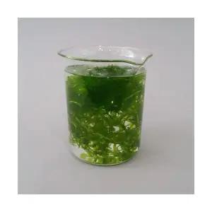 검정말(광합성실험용)