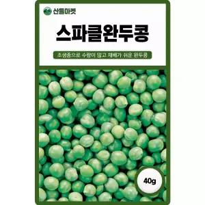산들마켓 스파클완두콩 씨앗 40g 조생종 스파클 완두콩씨 종자