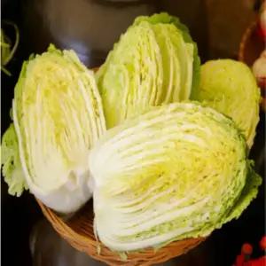 청정 해남 절임배추 20kg 오전주문 한날 보내드려요