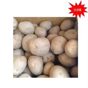 두백씨감자 (정품) 20kg 보급종 강원도 고랭지 감자