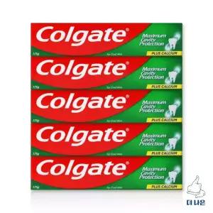 콜게이트 쿨민트 치약 175g X 5입