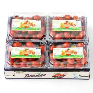 토마토 스테비아 방울토마토 청포도향 토망고 500gx4팩