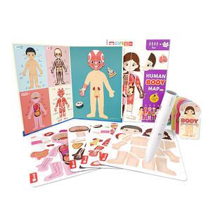 세이펜 4세대 + 휴먼 바디 맵 인체 타험 유아 학습 나의몸 장기 세이펜 호환