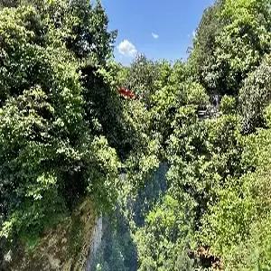 [Semi-프리미엄/청주출발]장가계직항 5일#관광지중심 5성급호텔 #대협곡유리다리+VR #천문산사+귀곡/유리잔도 #전신마사지 #보봉호수VIP #72기루 #리무진버스 #BBQ푸드트럭 #포토북 #다양한특식