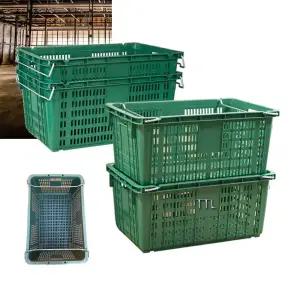 운반상자 농산물 대형 플라스틱 바구니 사각 5개/아사짐/농수산물/포장용/블루베리/배구공/탁구공