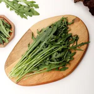 신선한 와일드 루꼴라 1kg