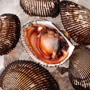 [자연맛남][산지직송] 남해안 피조개 피꼬막 5kg 75-100미