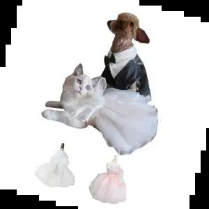 강아지치마 키밍 강아지 웨딩드레스 리본 망사 치마 애견 원피스