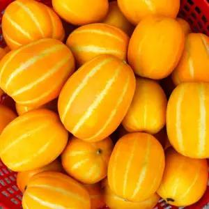 특품 성주 꿀가득 참외 2kg 로얄중과(6-8과)