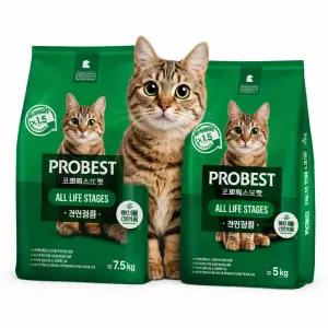 프로베스트 캣 총 12.5kg (7.5kg 1개+5kg 1개)
