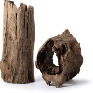 갈라파고스 (05550) 속이 빈 통나무 숨김 테라리움 수족관 장식 어항 유칼립투스 나무 중간 크기 6 - 8