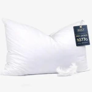 BHz 구스 다운 깃털 베개 퀸 사이즈 - 100 면 원단으로 옆구리 및 허리 수면자를 위한 수면용 부드러운