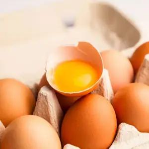 [한계란] 신선 무항생제 특란 60구