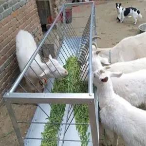 염소먹이통 양 목장 여물 밥통 급여기 사료 식수 스테인리스