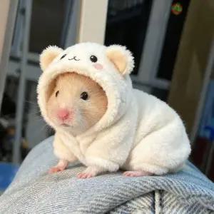 햄스터옷 의류 꾸미기 가을 햄스터 후드 겨울 인형