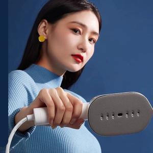 스팀 다리미 프리볼트 핸디형 가정용 미니