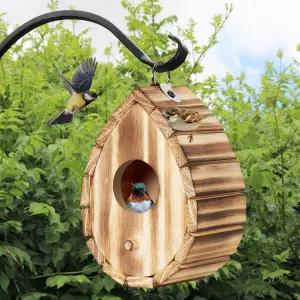 클라키북비즈 벌새의 집 야외용 나무 새의 작은 블루버드를 위한 야생 새 둥지 상자 야외 핀치 카디널스