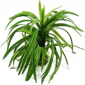 CNZ 아쿠아리움 장식 어항 인공 플라스틱 식물 그린(9인치 그린)