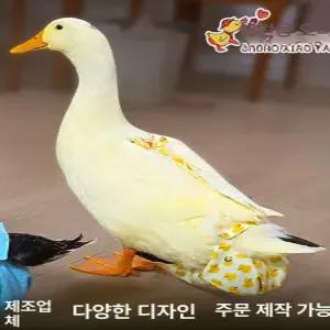 닭기저귀 방수 팬티 반려닭 강아지 애완 가금류