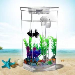 [콩심팥심]물멍 자동 금붕어 키우기 어항 베타 해수어 구피 청소 해파리