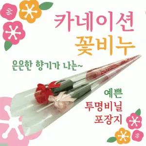 카네이션 [카네이션비누꽃(OPP형) ] 카네이션비누꽃/카네이션꽃/카네이션꽃비누/어버이날/스승의날/비누꽃