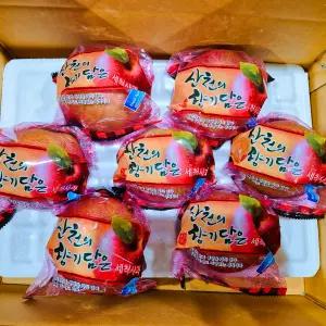 산천의 향기담은 세척사과 경북 부사 사과 중과 5kg